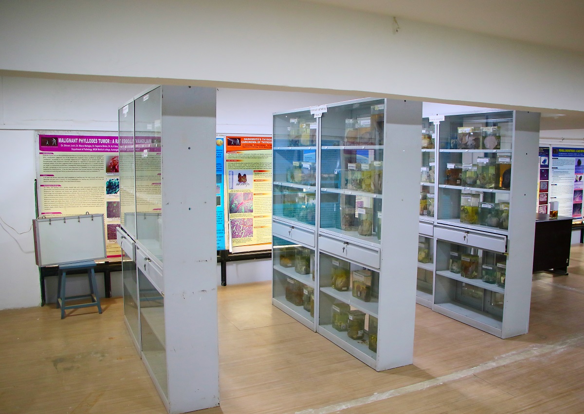 Museum Patho - Auranagabad